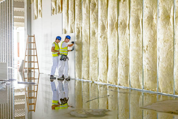 Best Residential Insulation in Santa Rosa Valley, CA